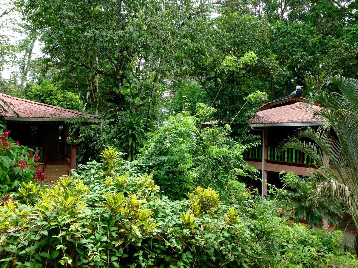 The Goddess Garden Eco-Resort 卡维塔 外观 照片